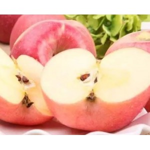 红富士苹果5斤