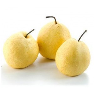 贡梨5斤