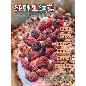 野生红菇